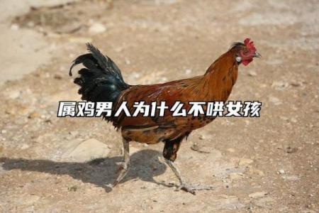 九月初六属鸡的命格解析：命运与性格的深度剖析