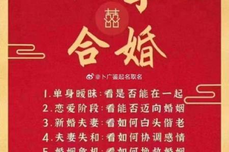 木命与哪种命最配？揭示最佳婚姻组合的秘密！