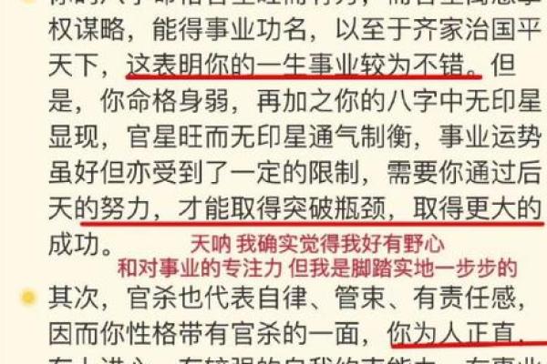 破解命格15的奥秘，揭示命运背后的深层含义