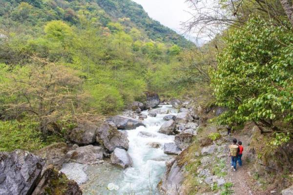 霹雳火命人适合居住的山脉揭秘：寻觅理想栖息地的指南