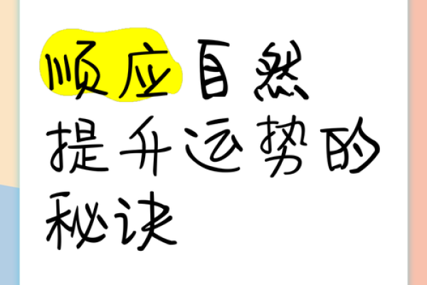 如何提升木命的运势？五大秘诀助你逆袭人生！