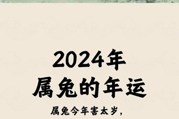 明天兔年出生的人命运解析：兔年的独特性与新生机遇