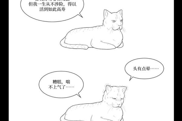 九条命的猫：神秘而迷人的猫咪世界