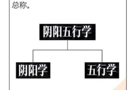 没有子女的八字命理解析：如何知晓命运的奥秘与转机