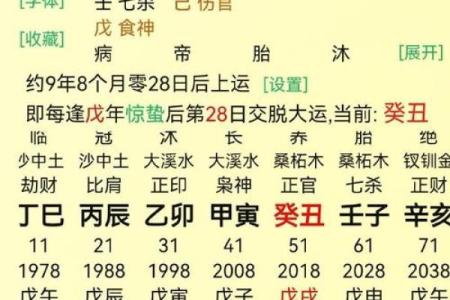 炉中火命的最佳命格搭配解析：助你获取人生的成功与幸福