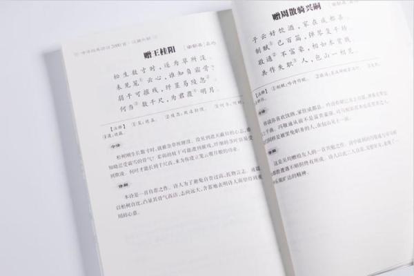 李一鸣命解析：探寻名字背后的命理与人生轨迹