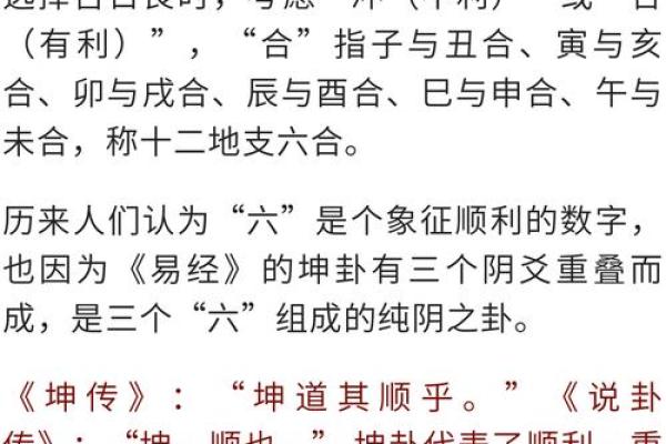 骆字五行分析：揭示其背后的命理秘密与人生哲学