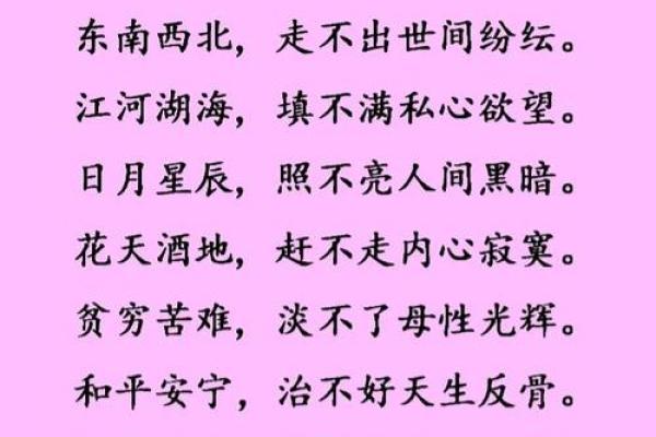 命垂旦夕：细腻情感背后的生命哲思与人生选择