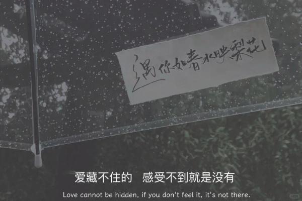 命不合：缘分的尽头与心灵的启示