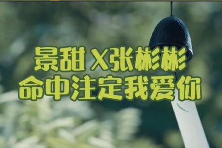 命中注定的妃子：她的名字与命运的故事