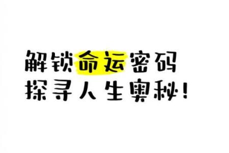 命重三两二：探寻人生中的命运与价值体现