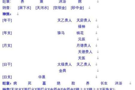 男命官杀星解析：深度剖析它在命理中的重要性与影响力