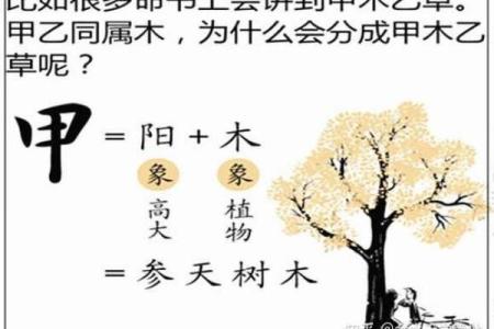 木命人不适合从事的行业，你知道吗？快来了解一下吧！