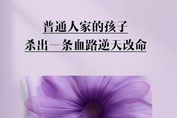 揭开木命人生的秘密：什么命的孩子更受欢迎？