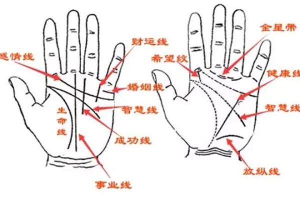 揭示男人左手生命线的秘密：命运与性格的深层联系