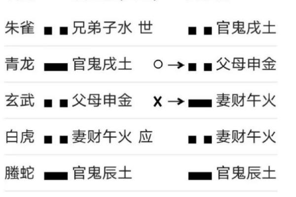 男命己土子女星的解析与运用：解析命理中的深层含义