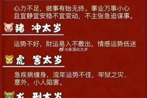 木命人佩戴虎骨的利弊解析：勇气与风险并存