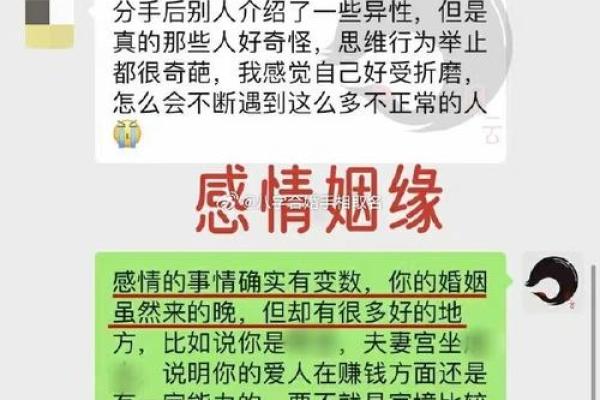 柳木命最佳婚配命解析：找到生活中的知音与伴侣