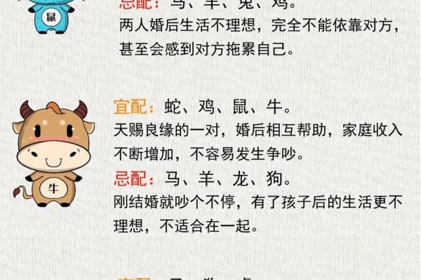 卯时出生的牛宝宝：命理解析与性格特征全揭秘