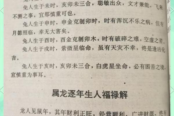 2024龙年运势解析：命理与生活的完美结合