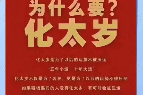 腊月十七出生的蛇：命理揭示你的命运与个性