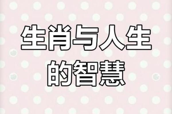 命生六刻文逾遇：揭示生肖背后的深厚智慧与人生启示