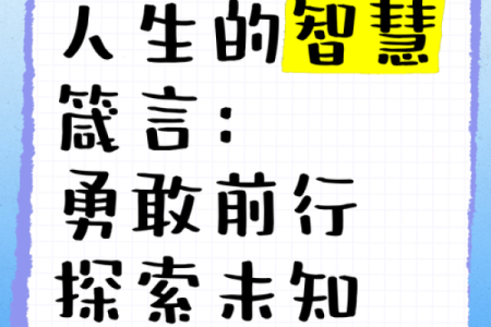 命住：探索人生意义的秘密与智慧