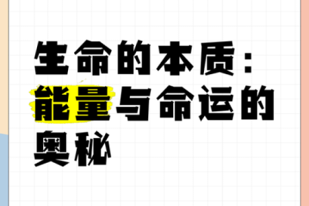 女四两一钱命理解析：揭示命运与性格的奥秘