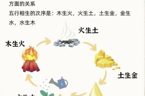 木命与金命：生出什么宝宝最合适的秘密探讨