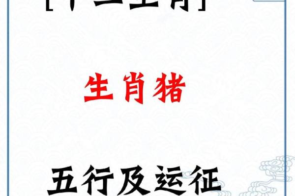 2024年5月出生宝宝命理解析：影响未来的生肖与性格特点