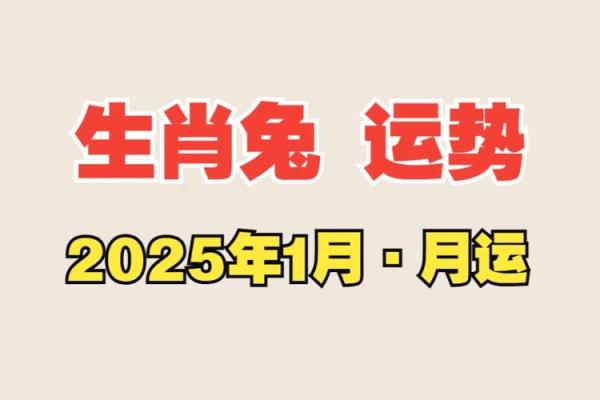 命里有时终须有，1987年生肖兔的命理解析与生活智慧