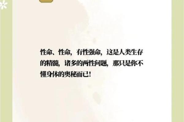 金命的深意：探寻金命个体的性格与命运之路