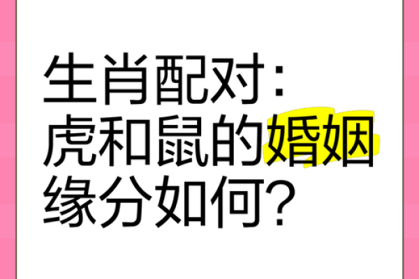 木鼠命与最佳配对：探索命理中的和谐之道