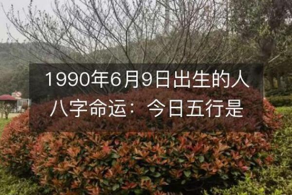 1990年出生的人命运特点与发展方向探讨