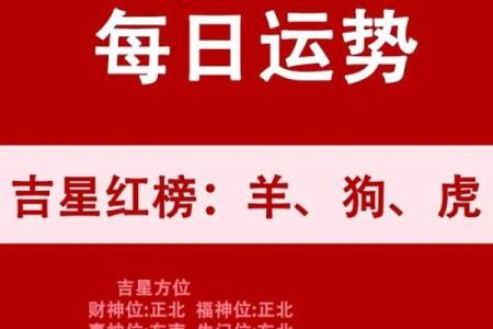 2024年属虎人的命运与生存智慧：解读命理与生活的完美结合