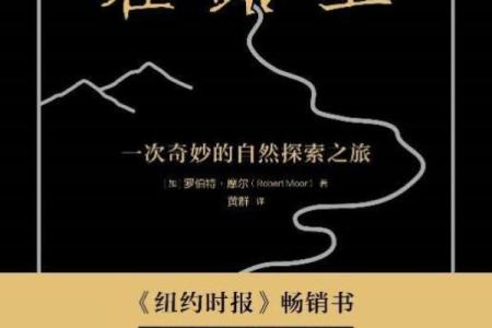 1991年出生的男孩：探索命运与人生的奇妙旅程