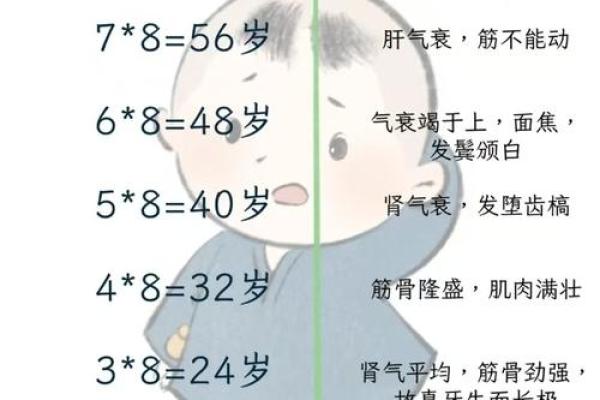 根据男孩出生日期揭秘命格的奥秘与人生轨迹