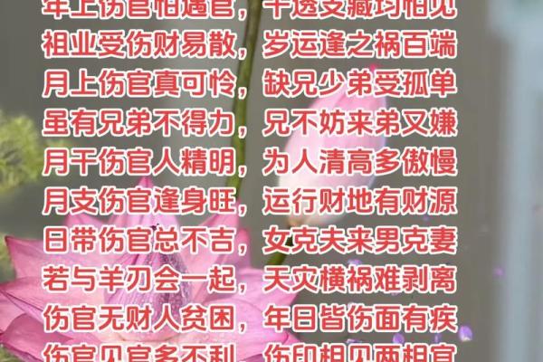 解读命理：为何带伤官之命却能旺夫？