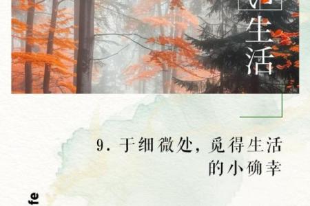 探索生活中的小乐趣，感受日常的美好与神奇