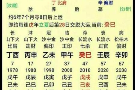 木命与财运：解析木命与哪些命格财运最佳！