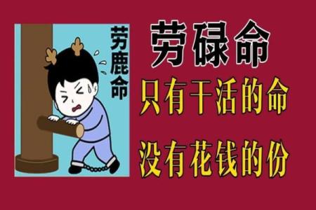 劳碌命：在奋斗与生活中寻觅平衡的艺术