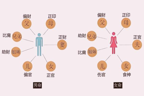 解密九子观命：古代命理学的奇妙之旅