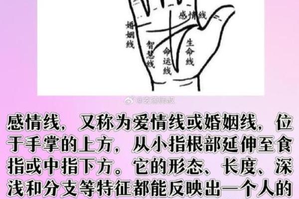 男人的四条婚姻线：揭示命运与情感的秘密