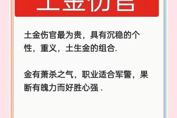 男命伤官：灵动与挑战并存的命理解析