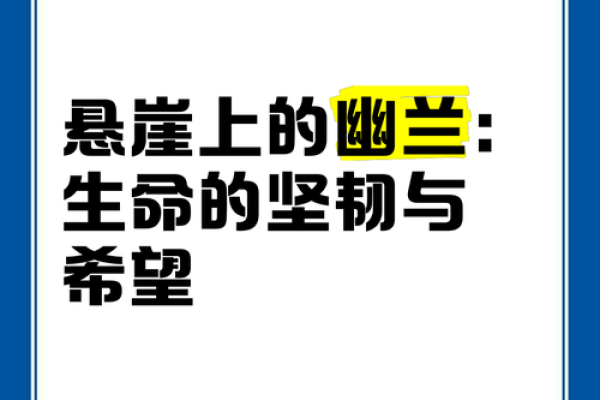 命悬一线：在绝境中寻找生存的希望与勇气