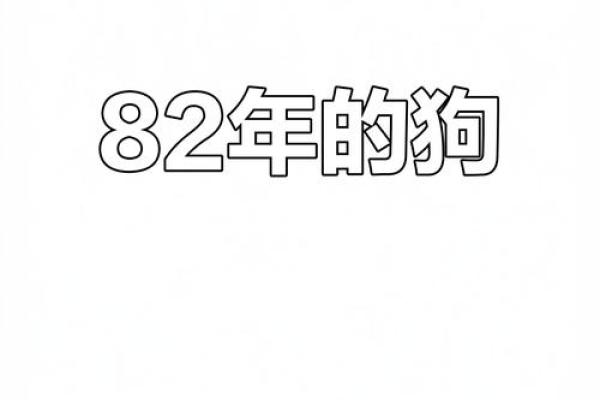 男命1959属狗的命运揭秘：性格解析与运势探讨