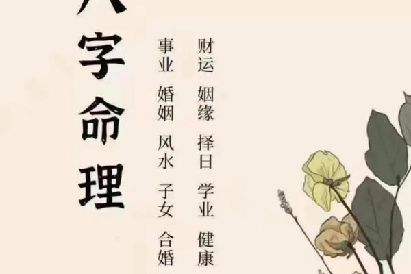 解读坤命与东四命的奥秘：探寻命理中的智慧与人生哲学