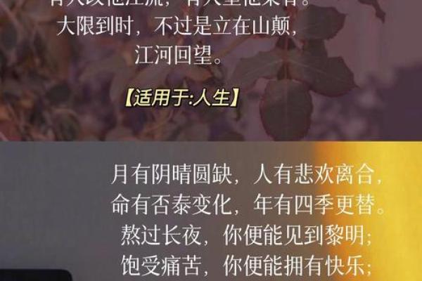 来世以命还命的深刻寓意与人生启示