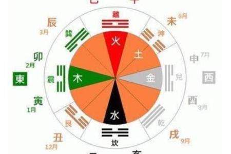 木命人木旺适合选择的专业与发展方向解析