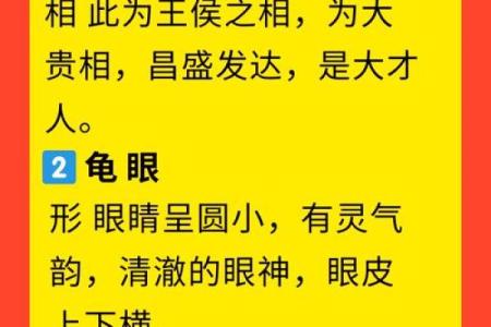 面相学揭秘：鼻子光亮暗示的命运与性格特征